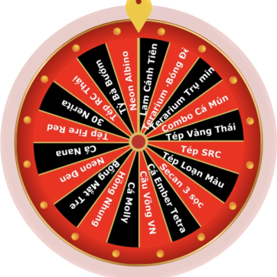 Vòng Quay Sơ Cấp